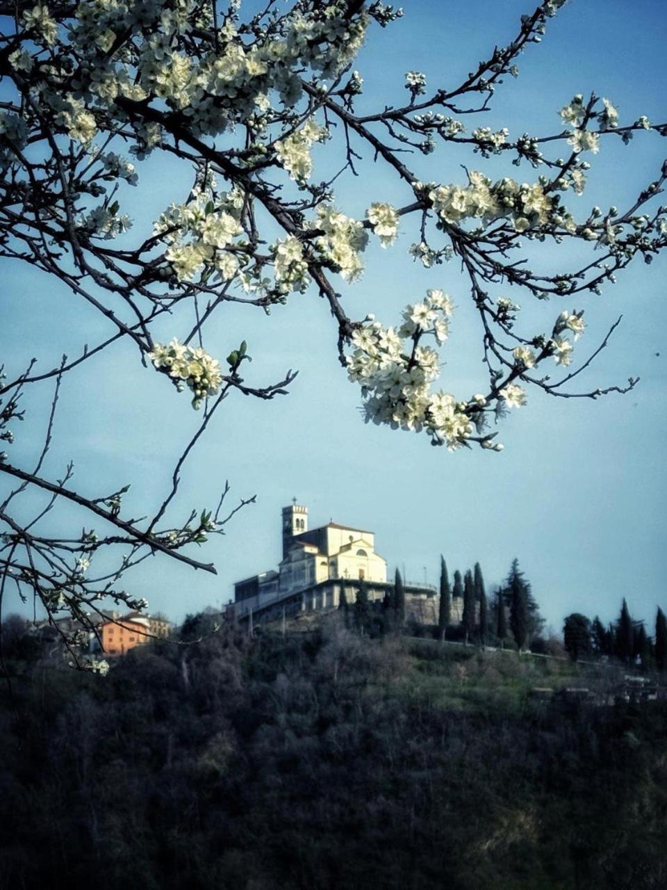 Casa Donai Appartement San Giovanni Ilarione Buitenkant foto