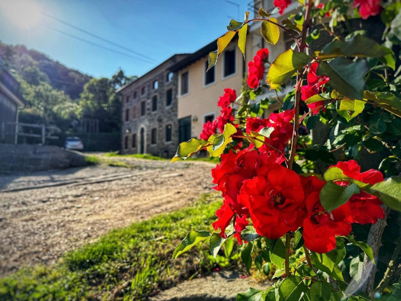 Casa Donai Appartement San Giovanni Ilarione Buitenkant foto